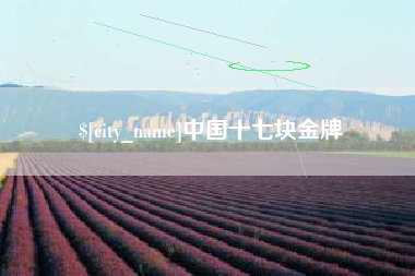 黔东南中国十七块金牌
