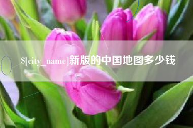 黔东南新版的中国地图多少钱