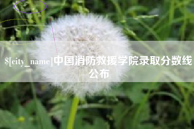 黔东南中国消防救援学院录取分数线公布