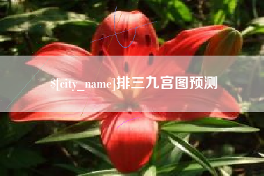 黔东南排三九宫图预测