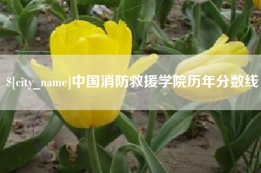 黔东南中国消防救援学院历年分数线