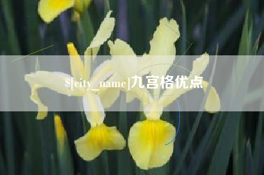 黔东南九宫格优点