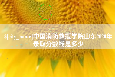 黔东南中国消防救援学院山东2020年录取分数线是多少