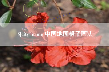 黔东南中国地图格子画法