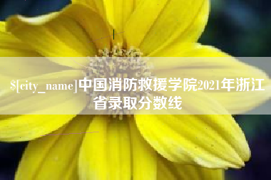 黔东南中国消防救援学院2021年浙江省录取分数线