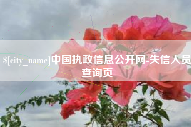 黔东南中国执政信息公开网-失信人员查询页