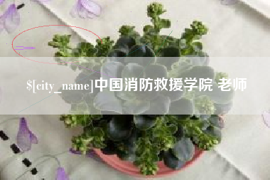 黔东南中国消防救援学院 老师