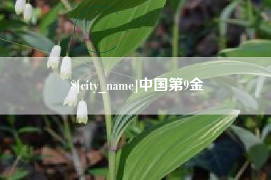 黔东南中国第9金