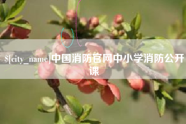 黔东南中国消防官网中小学消防公开课