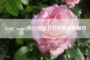黔东南执行信息公开网查到的案件