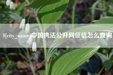 黔东南中国执法公开网征信怎么查询