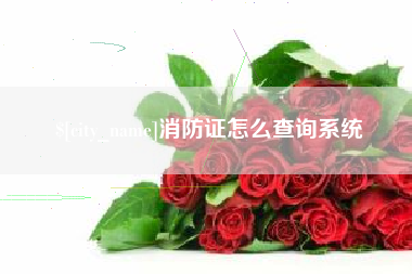 黔东南消防证怎么查询系统