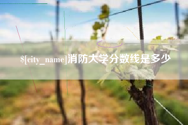 黔东南消防大学分数线是多少