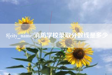 黔东南消防学校录取分数线是多少