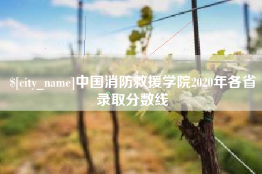 黔东南中国消防救援学院2020年各省录取分数线