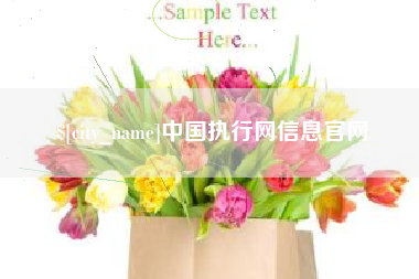 黔东南中国执行网信息官网