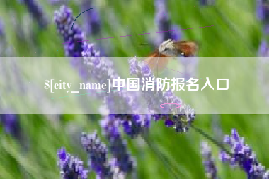 黔东南中国消防报名入口