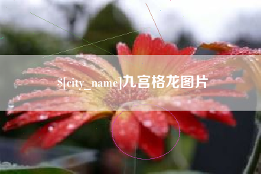 黔东南九宫格龙图片