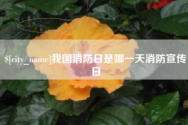 黔东南我国消防日是哪一天消防宣传日