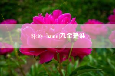 黔东南九金是谁