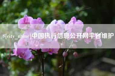 黔东南中国执行信息公开网平台维护
