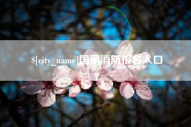 黔东南国家消防报名入口