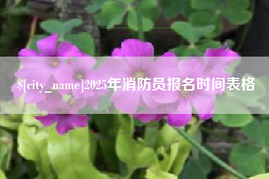 黔东南2025年消防员报名时间表格