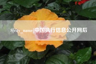 黔东南中国执行信息公开网后