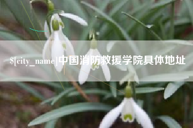 黔东南中国消防救援学院具体地址