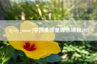 黔东南中国金牌是哪些项目2021