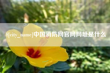 黔东南中国消防网官网网址是什么