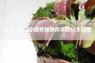 黔东南中国救援消防学院招生简章