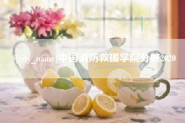 黔东南中国消防救援学院分数2020