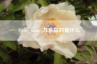 黔东南九金指的是什么