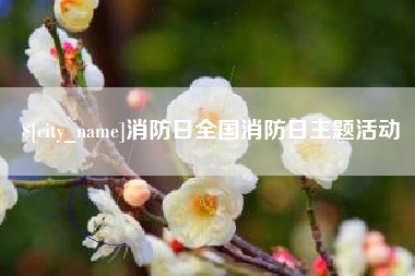 黔东南消防日全国消防日主题活动