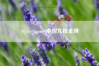 黔东南中国九枚金牌