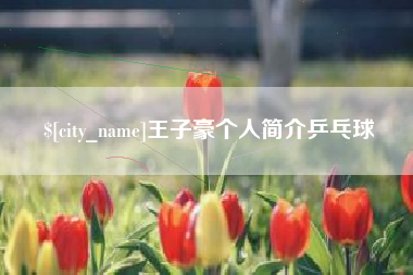 黔东南王子豪个人简介乒乓球