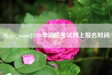 黔东南2020年消防考试网上报名时间