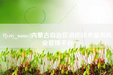黔东南内蒙古自治区消防技术服务执业管理平台
