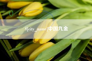 黔东南中国九金