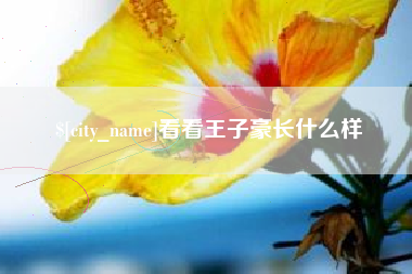 黔东南看看王子豪长什么样