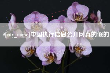 黔东南中国执行信息公开网真的假的