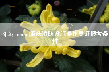 黔东南重庆消防设施操作员证报考条件