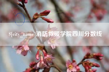 黔东南消防救援学院四川分数线