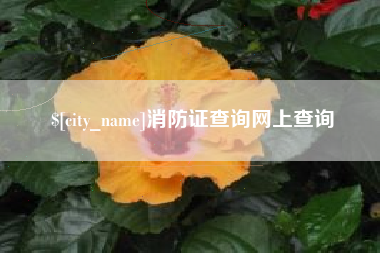 黔东南消防证查询网上查询