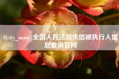 黔东南全国人民法院失信被执行人信息查询官网