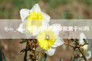 黔东南中国消防救援学院属于985吗
