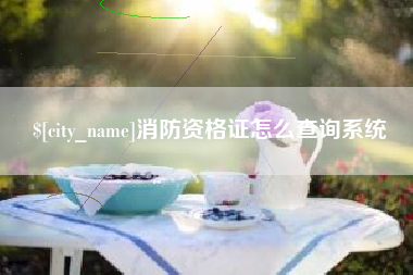 黔东南消防资格证怎么查询系统