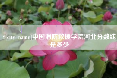 黔东南中国消防救援学院河北分数线是多少