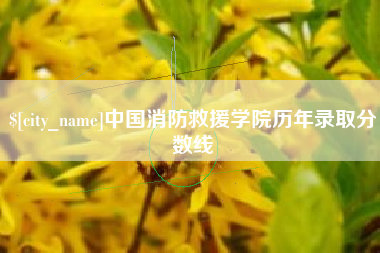 黔东南中国消防救援学院历年录取分数线